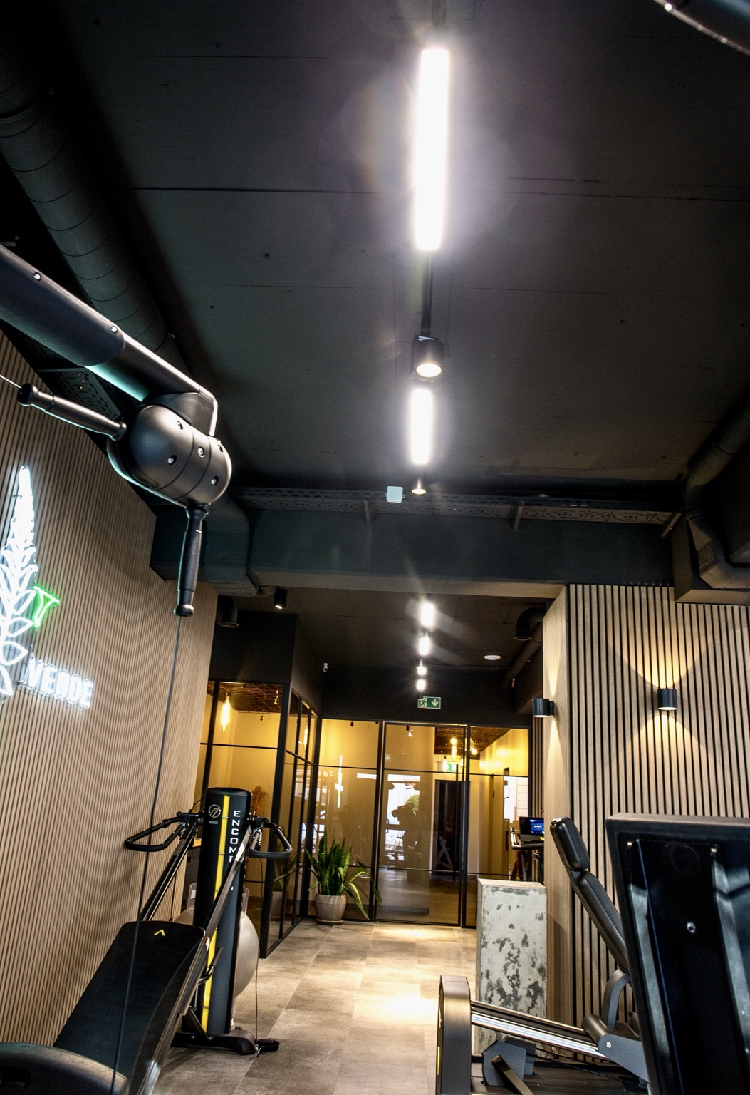 Eingangsbereich eines Fitnessstudios mit linearen Leuchten und Schienenstrahlern